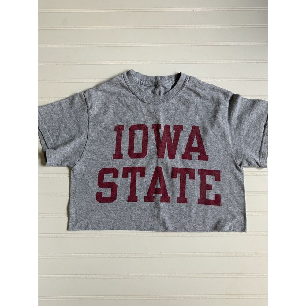 Iowa State Cyclones Cropped Collegiate Graphic T-Shirt Gray No Tag